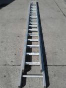 19 tread Ally ladders