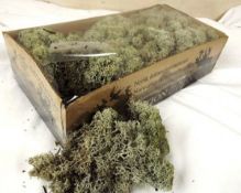 1 Box of Reindeer moss - Grey