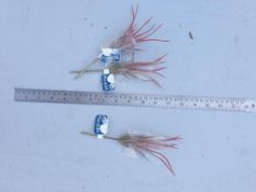 12 Artificial Tilandsia - Air plants - Never used