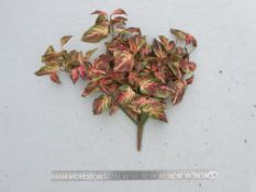 5 x Artificial Coleus bush - Very retro