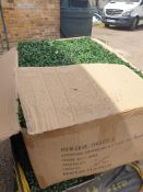 1 box of 60 pieces of Plastic Boxwood mat 25cm x 25cm