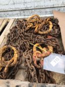 4no 5.3T 6M Collar Chains