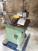 Wadkin BEM Spindle Moulder With Steff 2034
