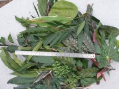 1 x Bag of Assorted Artificial Tropical leaves