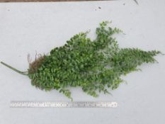 3 Artificial plastic Trailing Fern