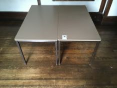 Vintage Classroom Tables x2
