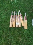 6 x Aresson mini cricket bats