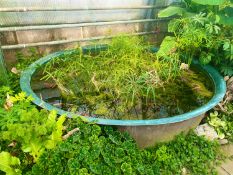 Rigid Fibreglass pond