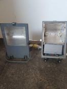 2 x 110v lights