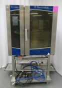 Electrolux Air-O-Steam Touchline 10 grid combi oven, natural gas