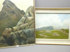 S LEE ROBINSON (Irish) - Finny Co Mayo, 39 x 49cms together with OIL ON BOARD, signed 'PAE'