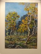 MOSS WILLIAMS watercolour - treescape with old fence and track, signed, 53 x 37cms