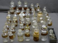 THE FOLLOWING 13 LOTS, LOT 243 - 256 ARE FROM THE WELL-KNOWN, LONG ESTABLISHED DISPENSING CHEMIST