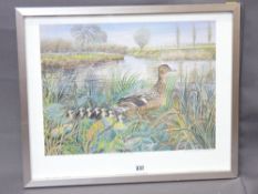 ALEX WILLIAMS print - 'Mallards', signed