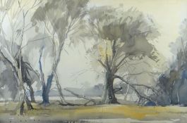 S PRICE watercolour - lakeside trees, signed, 36 x 54cms