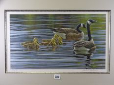 ROBERT BATEMAN limited edition print - 'Canada Geese with Young', signed in pencil, 30 x 52cms