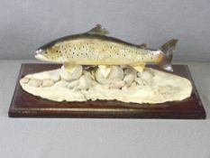 IAN GREENSILT - model of a brown trout on a wooden plinth, total width 47cms