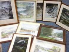 SALMON & TROUT THEMED prints and a quantity of others ETC