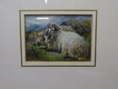 WILLIAM WATSON watercolour - a resting ram and sheep by rocks, signed with original career