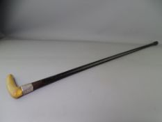 VINTAGE HORN HANDLED WALKING CANE with silver collar, 81.5cms L