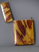 VICTORIAN TORTOISESHELL CALLING CARD CASE