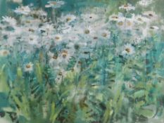 ANDREW DOUGLAS-FORBES oil on board - swathe of swaying daisies, signed, 32 x 42cms, Ceri Richards