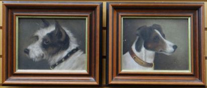 CIRCLE OF GEORGE EARL (FL.1856 - 1883) oil on board - portrait of a rough haired terrier, and a