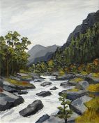 DAVID BARNES oil on board - fast flowing mountain stream, entitled verso 'Aberglaslyn', signed