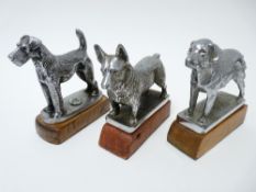 VINTAGE CAR MASCOTS X 3 - DOGS by Beards of Cheltenham and others to include LONG COATED LABRADOR,