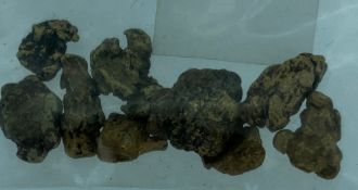 WELSH GOLD NUGGETS-9 in total, 5.2 grams.