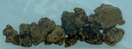 WELSH GOLD NUGGETS-16 in total, 6.6 grams.