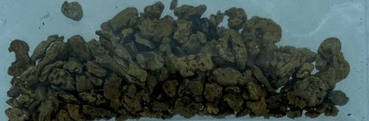 WELSH GOLD NUGGETS - a parcel, 9.3 grams