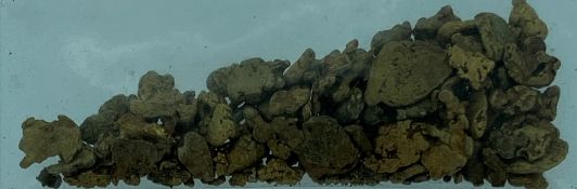 WELSH GOLD NUGGETS- a parcel, 7.0 grams