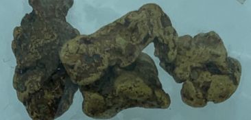 WELSH GOLD NUGGETS-4 in total, 4.4 grams.