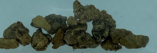 WELSH GOLD NUGGETS - 16 in total, 4.4 grams