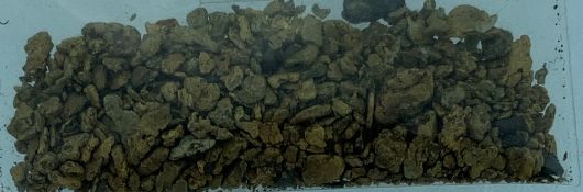 WELSH GOLD NUGGETS - a parcel of chips and dust 9.3 grams