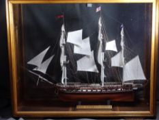 CASED MODEL SHIP - contemporary fully rigged model of the USS Constitution Gun Ship, 80.5cms H,
