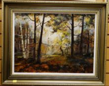 ANTHONY J. AVERY oil on canvas - forest trail, inscribed and dated to Man of Ross Gallery verso,