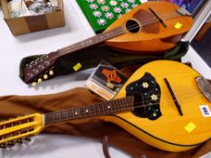 TWO VINTAGE 8-STRING MANDOLINS with soft cases (2)