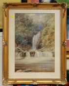 EDWARD SALTER watercolour - The Crooked Falls, vale of Neath, signed and dated 1890, 50 x 34cms