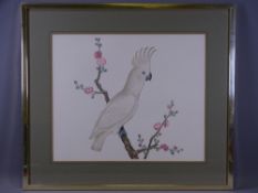 UNATTRIBUTED PRINT - study of a cockatoo on a pink blossom branch, in a quality mount and metal