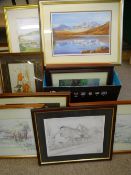 CHRISTINE SCOTT & OTHERS WATERCOLOURS, limited edition prints ETC, a good selection