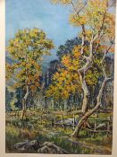 MOSS WILLIAMS watercolour - treescape with old fence and track, signed, 53 x 37cms