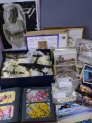 MIXED COLLECTABLES, a quantity including model planes on display stands, a Jersey commemorative
