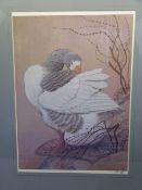 C F TUNICLIFFE - 'Pruning Greylag Goose', signed in pencil and stamped, 60 x 43cms