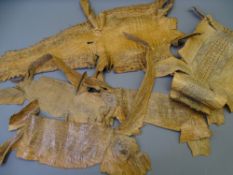 CIRCA 1900 REPTILE SKINS, a mixed lot