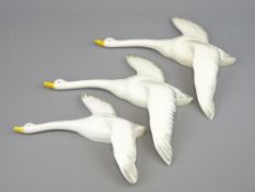 THREE POTTERY SWAN WALL ORNAMENTS, possibly Burslem pottery (neck damage to one)