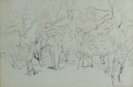 DAVID COX pencil sketch - Peak District woodland, entitled 'Rowsley', 17.5 x 26cms Provenance: