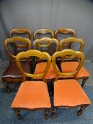 HARLEQUIN SET OF EIGHT VICTORIAN MAHOGANY BALLOON BACK DINING CHAIRS, five having more shaped detail