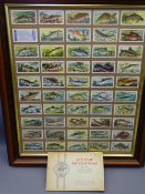 W D & H O WILLS - 'Air and Precautions' cigarette cards with framed set of 'Fresh Water Fish'